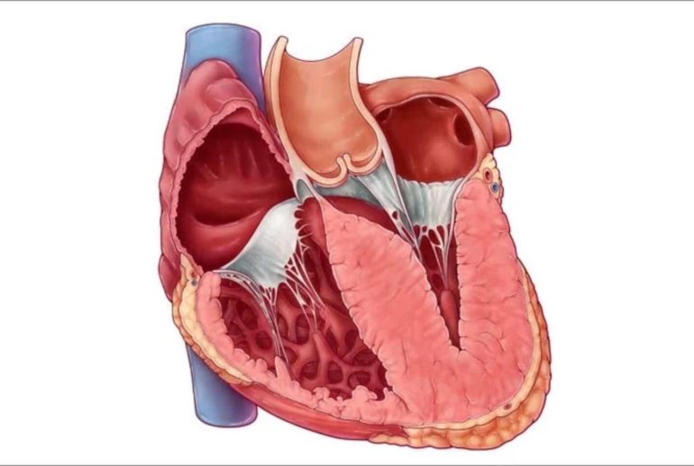 1734369873.89919_796823_image