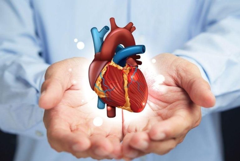 1734369972.96901_282017_image